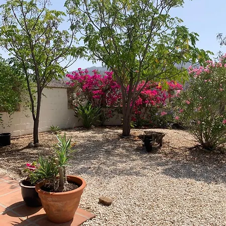 乔罗住宿加早餐旅馆