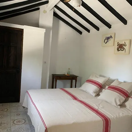 乔罗住宿加早餐旅馆 4*