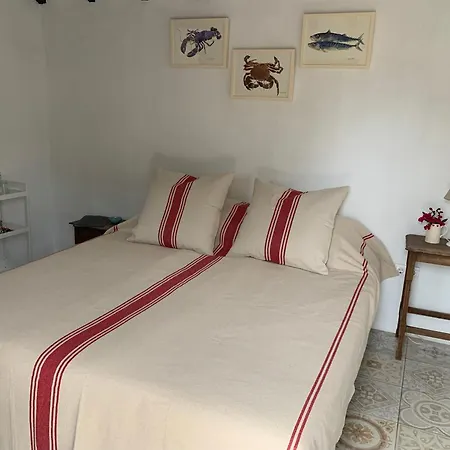 乔罗住宿加早餐旅馆